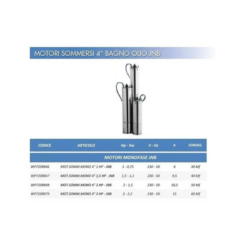 Motore Pompa Elettropompa Sommersa Wortex WP7209849 4 3 Hp 2,2 Kw JNB